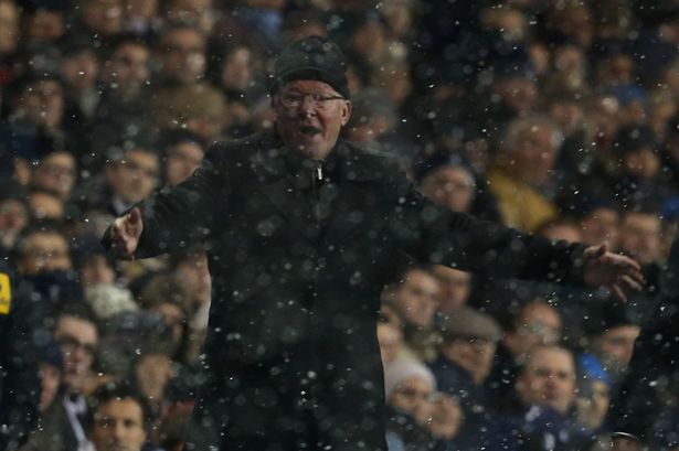 Sir Alex Ferguson demanding a penalty
